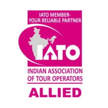 IATO Logo
