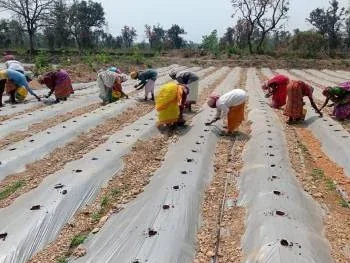 Sustainable Livelihood